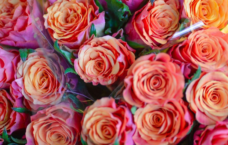 Flowerbx