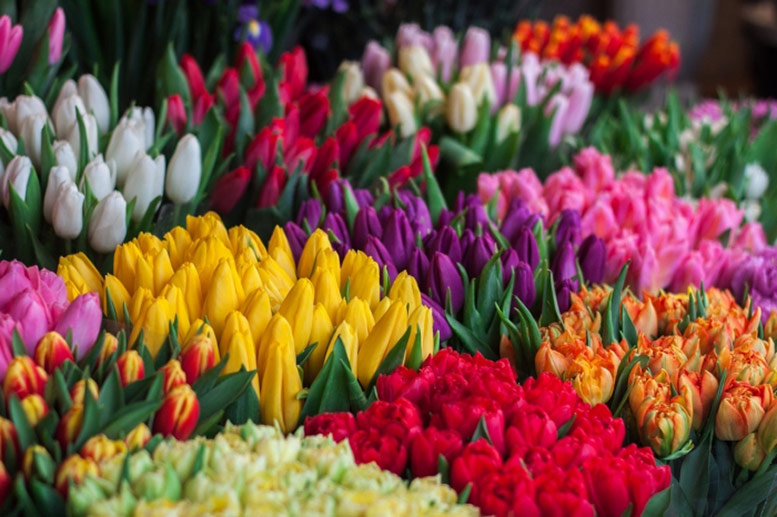 That Flower Shop