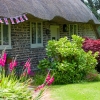 Tips on How to Renovate Your Backyard in London on a Budget