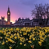 Unconventional London: Top 5 Things to Try