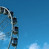 Things That London and Sydney Have in Common