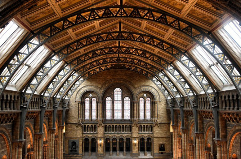 Activities in London and the UK