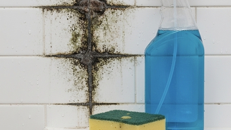 London Bathrooms Overnight Solution For Removing Grout Mould