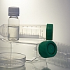 London’s Medical Research Role: Stem Cell Therapies for ALS