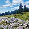 Bodpathri Lakes Trek: A Trek Through Kashmir’s Unseen Beauty