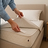 Bed Bug Treatment Tips for Everyday Home Protection