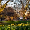 The Royal Parks of London