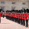 Why It’s Necessary To See the Royal Guards in London