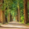 Top 10 Places to Run in London