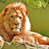 Great Zoos, Aquariums, Safari Parks and Farms in London