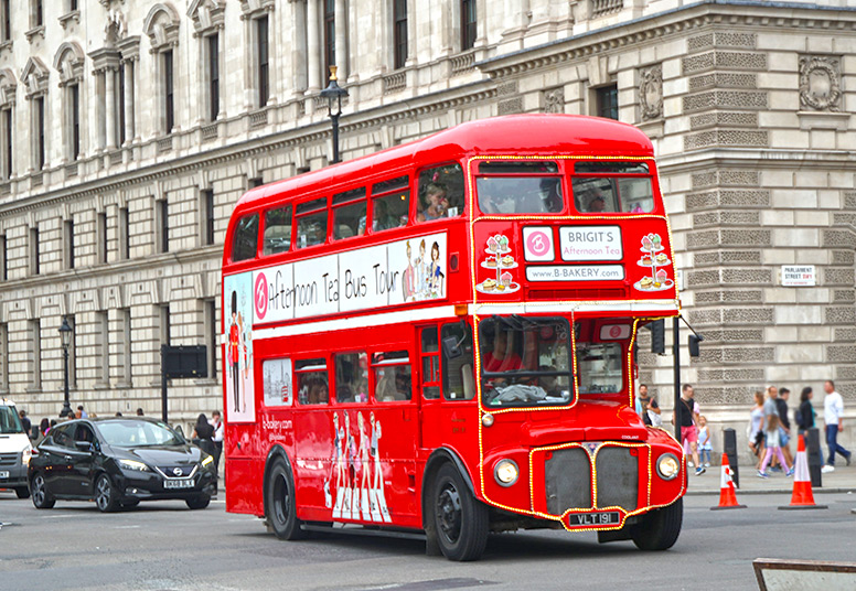 Sightseeing Bus