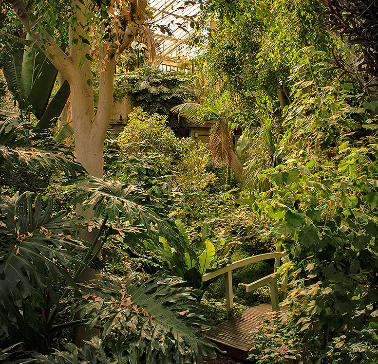 Barbican Conservatory