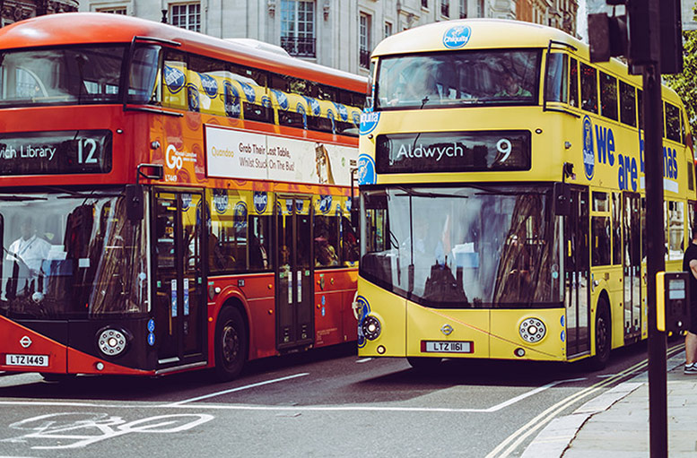 Red and Yellow Buses