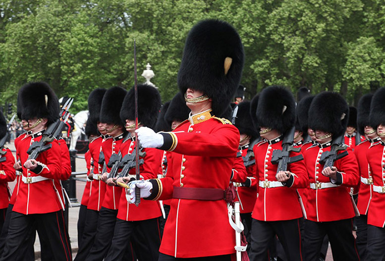 The Royal Guard