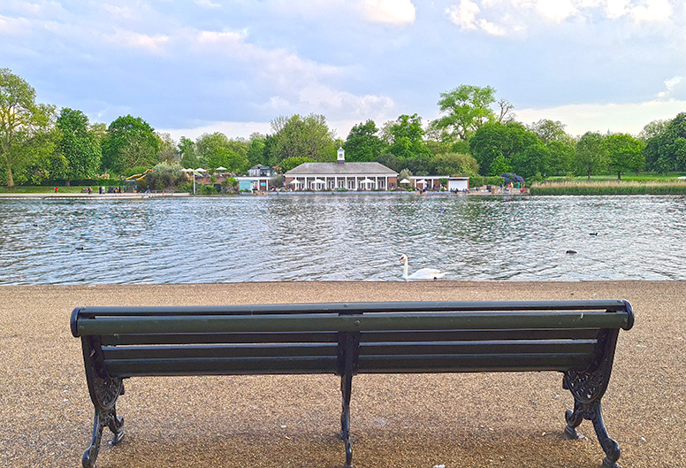 Hyde Park Bench