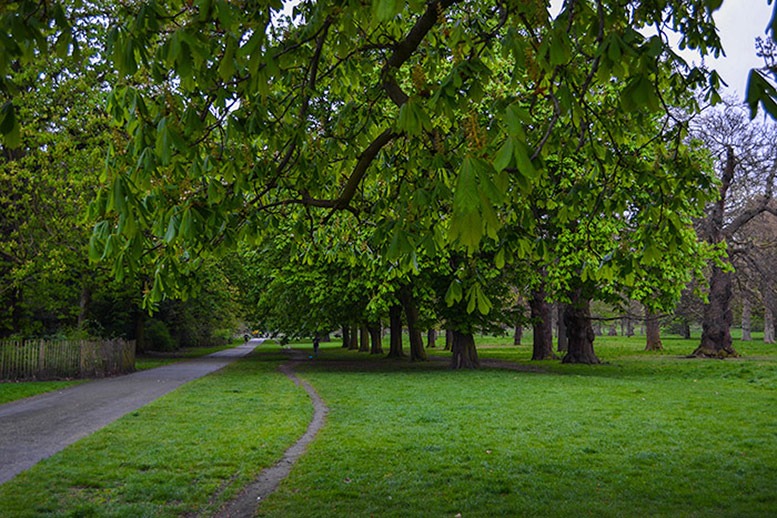 Kensington Gardens