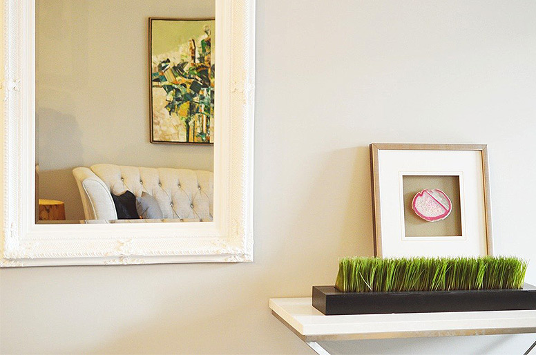 Frames and Plants