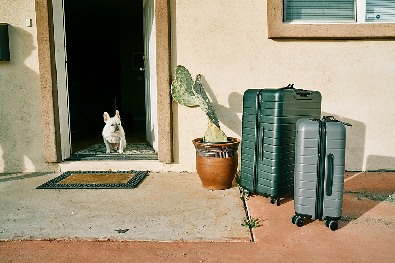 packing for your pet